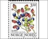 Used NK 1224   Bilberry (Vaccinium myrtillus) 3.5 Krone Multicolor
