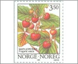Used NK 1253   Wild Strawberry (Fragaria vesca) 3.5 Krone Multicolor