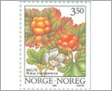 Used NK 1254   Cloudberry (Rubus chamaemorus) 3.5 Krone Multicolor