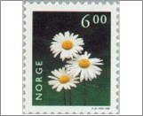 Used NK 1283   Oxeye Daisy (Chrysanthemum leucanthemum) 6 Krone Multicolor