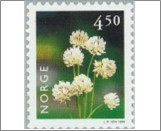 Used NK 1320   White Clover (Trifolium repens) 4.5 Krone Multicolor