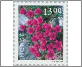 Used NK 1323   Saxifraga diversifolia 13 Krone Multicolor