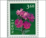 Used NK 1352   Rough Robin Silene dioica syn Melandrium rubrum) 3.6 Krone Multicolor