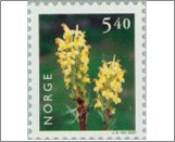 Used NK 1382   Oeder's Lousewort (Pedicularis oederi) 5.4 Krone Multicolor