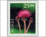 Used NK 1385   Thistle (Cirsium sp.) 25 Krone Multicolor