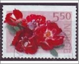 Used NK 1433   Roses - Heidekönigin 5.5 Krone Multicolor