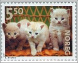 Used NK 1448   Kittens 5.5 Krone Multicolor