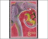 Used NK 1482   Elephant dressage 8.5 Krone Multicolor