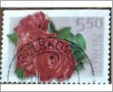 Used NK 1490   Rose Grand Prix 5.5 Krone Multicolor