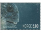 Used NK 1526   Atlantic wolffish (Anarhichas lupus) 6 Krone Multicolor