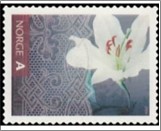 Used NK 1604   Greetings 6 Krone Multicolor