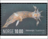 Used NK 1607   Fourline Nudibranch (Polycera quadrilineata) 10 Krone Multicolor