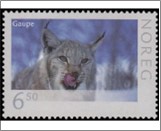 Used NK 1608   Lynx (Lynx lynx) 6.5 Krone Multicolor