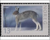 Used NK 1612   Mountain Hare (Lepus timidus) 13 Krone Multicolor