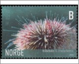 Used NK 1624   Northern Sea Urchin (Strongylocentrotus droebachiensis) 6 Krone Multicolor