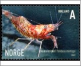 Used NK 1660   Aesop Shrimp (Pandalus montagui) 7 Krone Multicolor