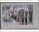 Used NK 1672   Moose (Alces alces) 11 Krone Multicolor