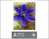 Used NK 1713   Personalised stamp - Hepatica 8 Krone Multicolor