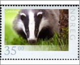 Used NK 1869   Badger (Meles meles) 35 Krone Multicolor