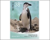 Used NK 1978   Pygoscelis antarcticus (Chinstrap penguin) 38 Krone Multicolor