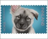 Used NK 2015   Norwegian Elkhound Puppy  Krone Multicolor
