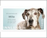 Used NK 2035   Milo  Krone Multicolor