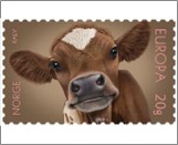 Used NK 2056   Calf  Krone Multicolor