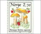 Used NK 1018   Mushrooms (Rozites caperata) Multicolor 2.7 Krone
