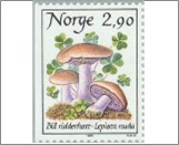 Used NK 1038   True Blewit (Lepista nuda) Multicolor 2.9 Krone