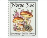 Used NK 1062   Sticky Bun (Suillus luteus) Multicolor 3 Krone