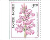 Used NK 1088   Dactylorhiza fuchsii - Common Spotted Orchid 3.2 Krone Multicolor