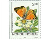 Used NK 1192   Northern Clouded Yellow (Colias hecla) 3.5 Krone Multicolor