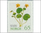 Mint NK 719 Yellow Wood Violet (Viola biflora) Multicolor 65 Øre