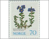 Mint NK 720 Rock Speedwell (Veronica fruticans) Multicolor 70 Øre