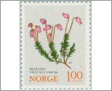 Mint NK 721 Mountain Heath (Phyllodoce caerulea) Multicolor 1 Krone