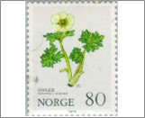 Used NK 854   Glacier Buttercup or Crowfoot (Ranunculus glacialis) Multicolor 80 Øre