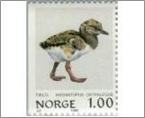 Used NK 859   Eurasian Oystercatcher (Haematopus ostralegus) Multicolor 1 Krone