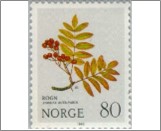 Used NK 873   Rowan (Sorbus aucuparia) Multicolor 80 Øre