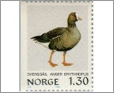 Used NK 875   Lesser White-fronted Goose (Anser erythropus) Multicolor 1.5 Krone