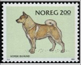 Used NK 926   Buhund (farm dog) Multicolor 2 Krone