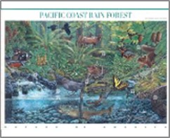 USA 2000 Mint SC3378 Pacific Coast Rain Forest 10*33 ¢ - Mini Sheet
