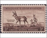 Mint Stamp USA 1956 SC1078 Pronghorn Antelope (Antilocapra americana) Brown 3 Cent 1956**STOCK IMAGE**