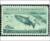 Mint Stamp USA 1956 SC1079 Chinook Salmon (Oncorhynchus tshawytscha) Blue green 3 Cent 1956**STOCK IMAGE**
