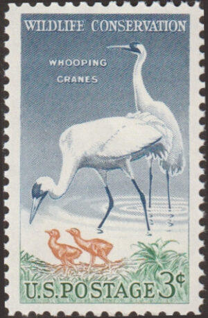 Mint Stamp USA 1957 SC1098 Whooping Crane(Grus americana) Multicolor 3 Cent 1957**STOCK IMAGE**